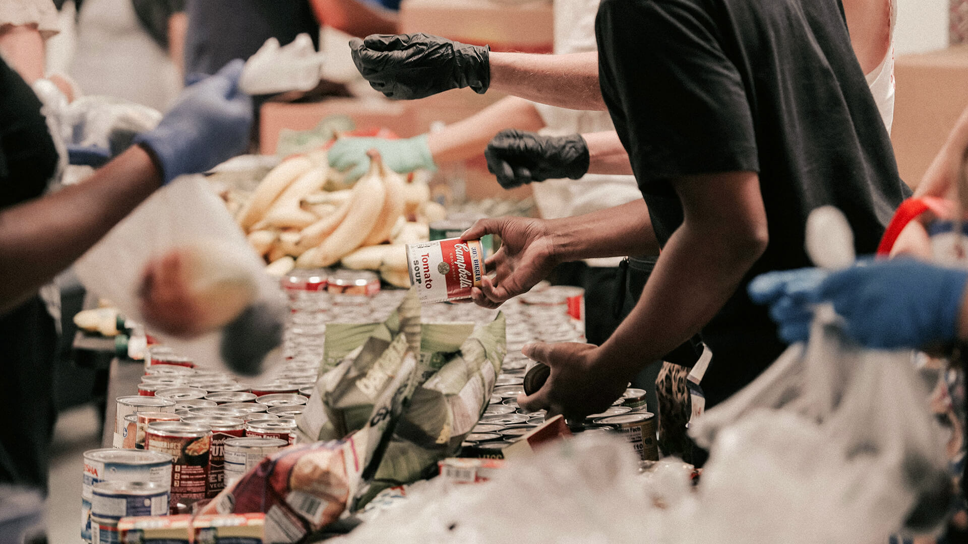 All Campus Food Drive