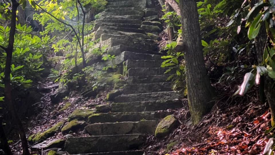 12-Step Recovery Group